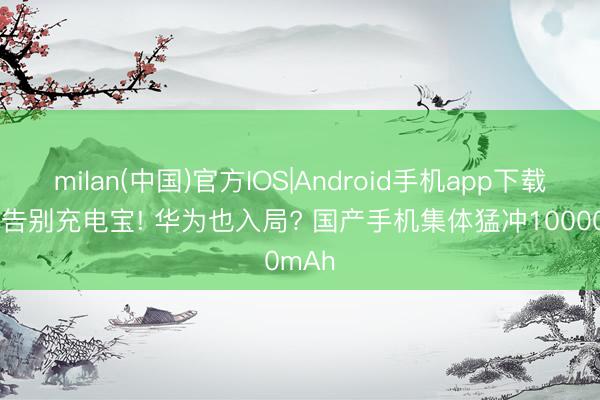 milan(中国)官方IOS|Android手机app下载 透顶告别充电宝! 华为也入局? 国产手机集体猛冲10000mAh