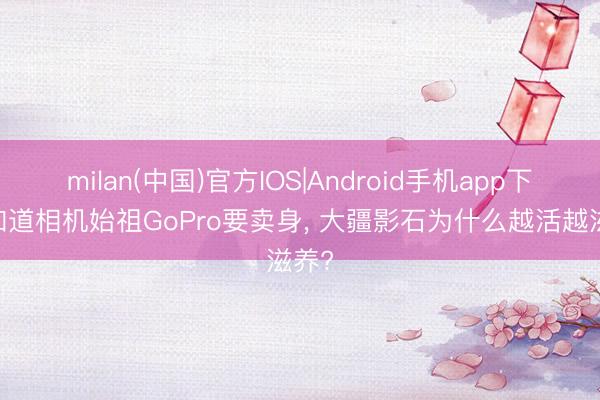 milan(中国)官方IOS|Android手机app下载 知道相机始祖GoPro要卖身， 大疆影石为什么越活越滋养?