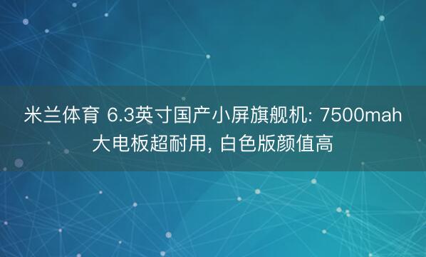 米兰体育 6.3英寸国产小屏旗舰机: 7500mah大电板超耐用， 白色版颜值高