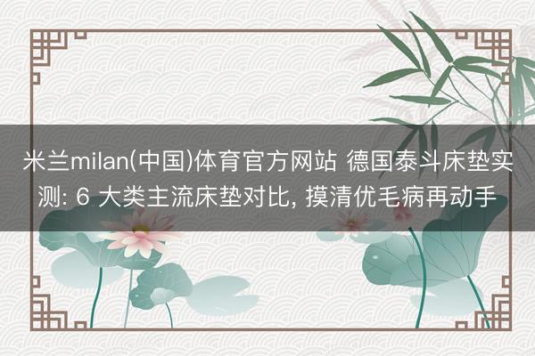 米兰milan(中国)体育官方网站 德国泰斗床垫实测: 6 大类主流床垫对比， 摸清优毛病再动手