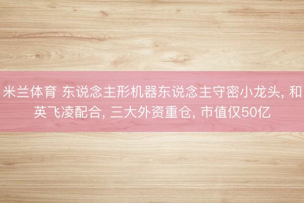 米兰体育 东说念主形机器东说念主守密小龙头， 和英飞凌配合， 三大外资重仓， 市值仅50亿